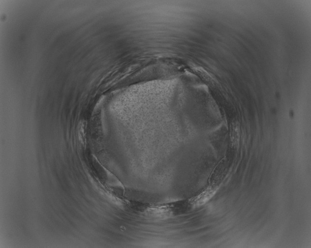 X0000062630280200601111108