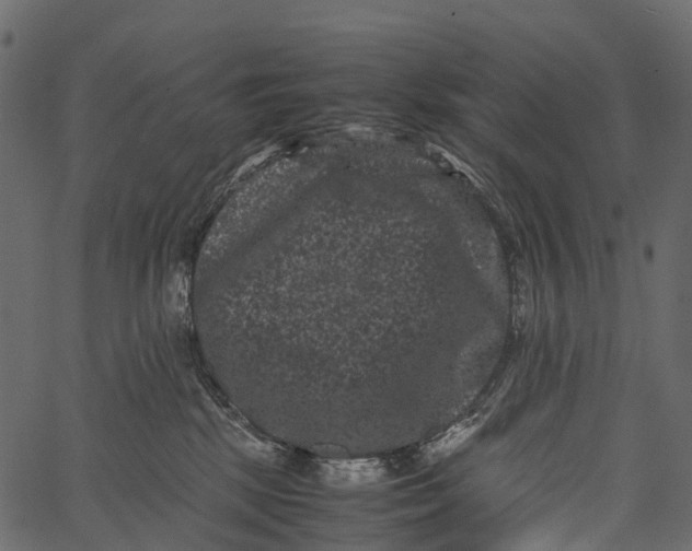 X0000062630281200601111108