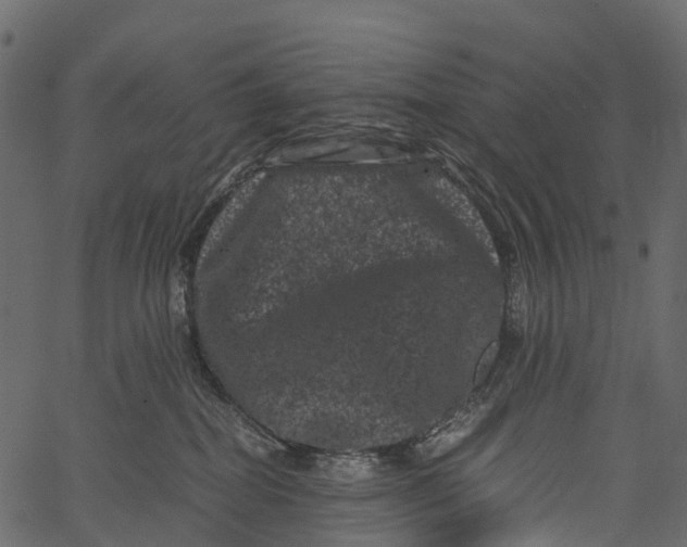 X0000062630282200601111108