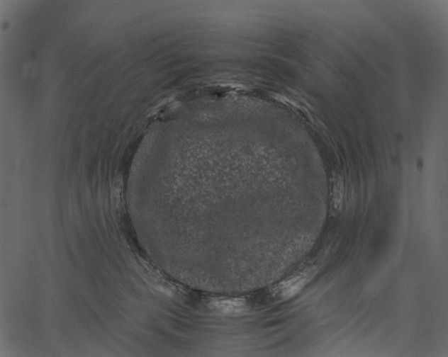 X0000062630283200601111108