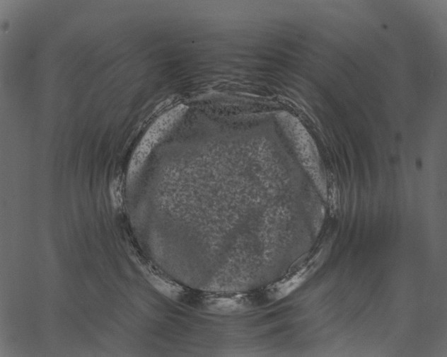 X0000062630285200601111108