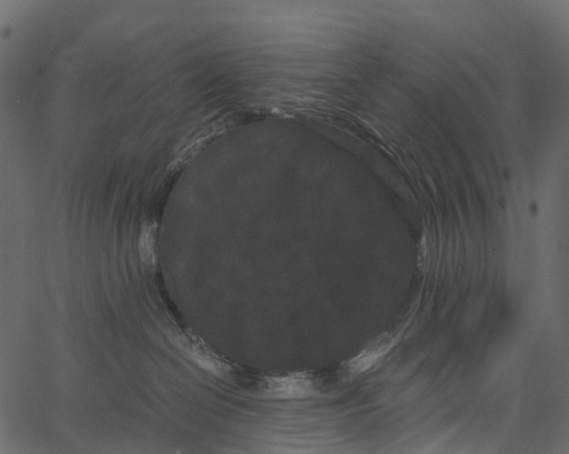 X0000062630286200601111108