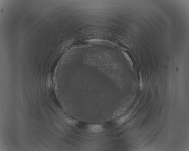 X0000062630287200601111108