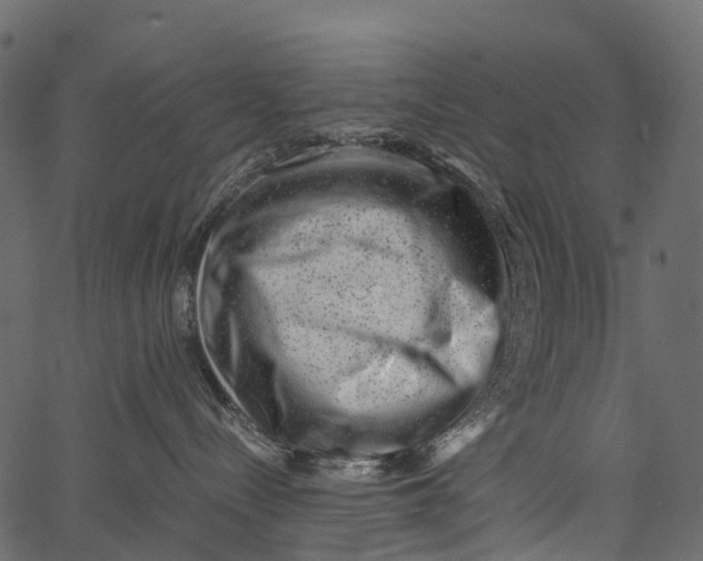 X0000062630288200601111108