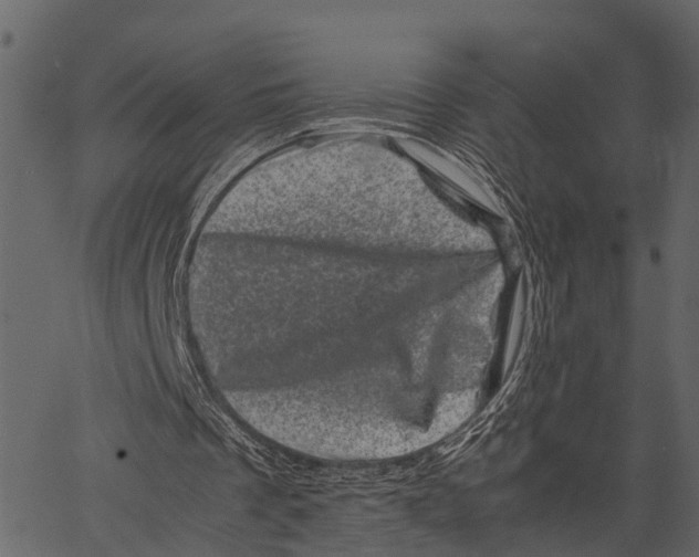 X0000062630289200601111107