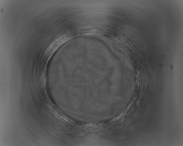 X0000062630290200601111107