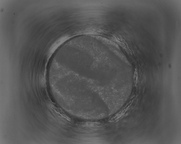 X0000062630292200601111107