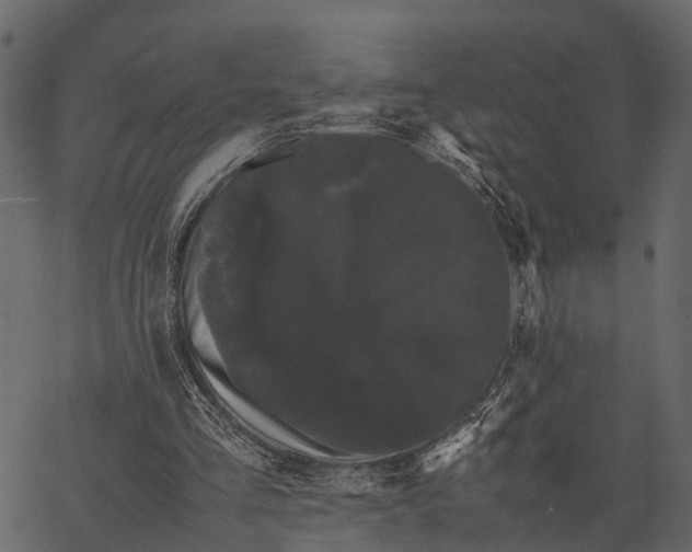 X0000062630293200601111107