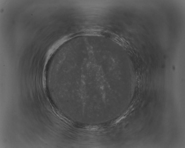 X0000062630294200601111107