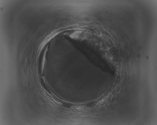 X0000062630295200601111107