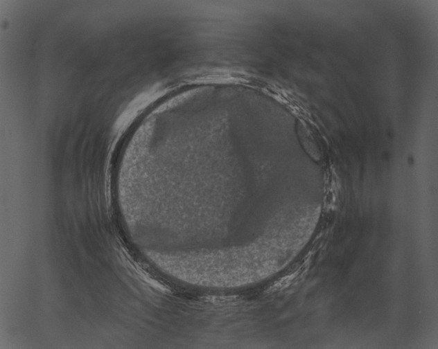 X0000062630296200601111107