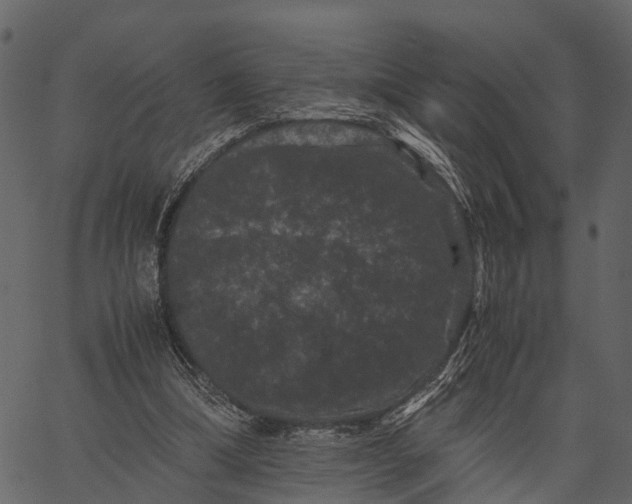 X0000062630298200601111107