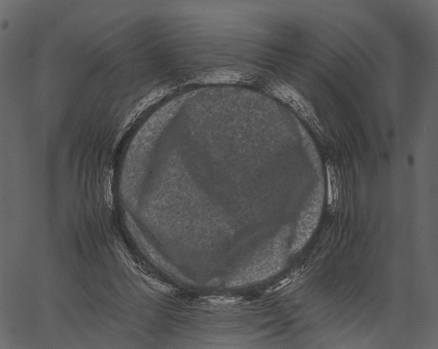 X0000062630300200601111107