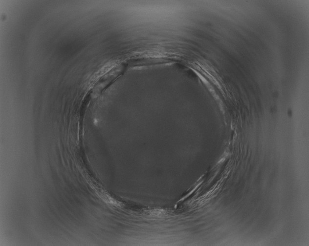 X0000062630301200601111107