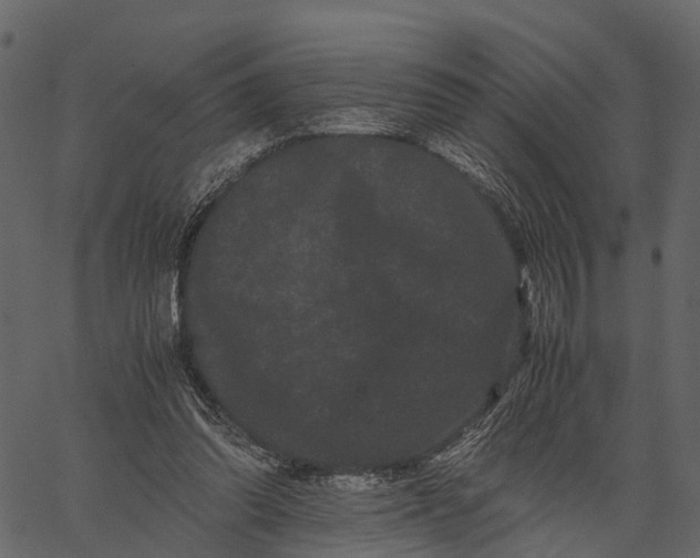 X0000062630302200601111107