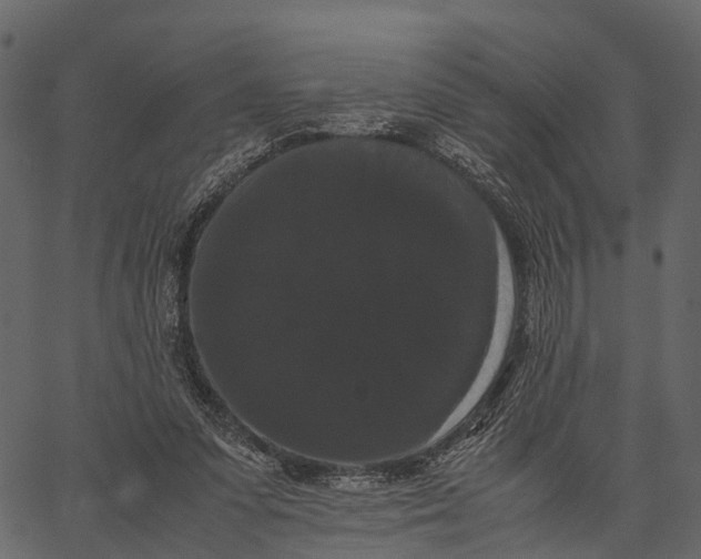 X0000062630303200601111107