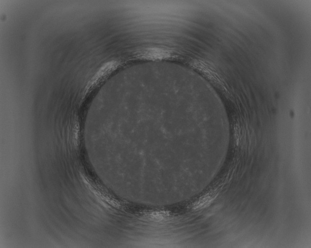 X0000062630304200601111107