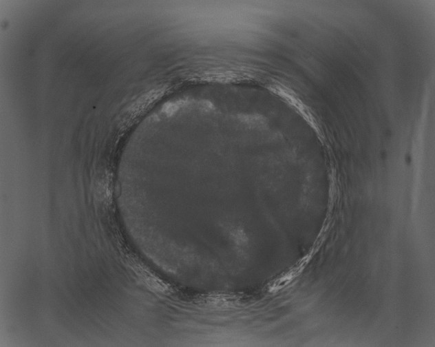 X0000062630305200601111107