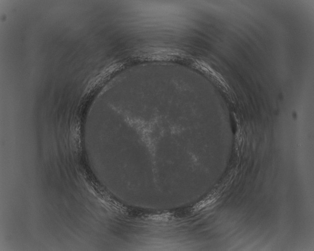 X0000062630306200601111107