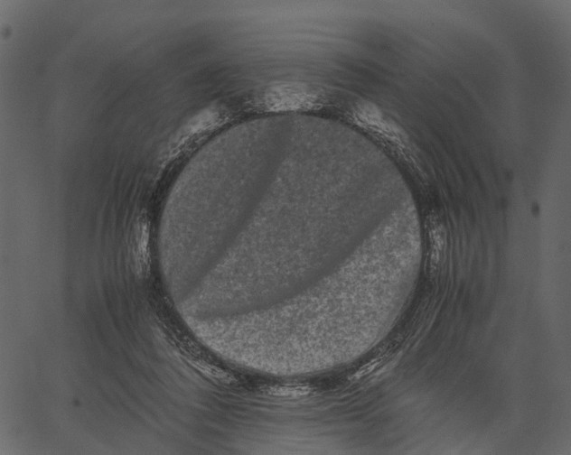 X0000062630308200601111107