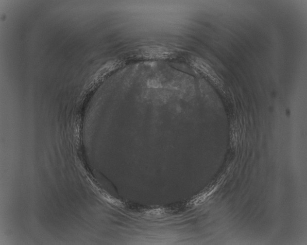 X0000062630309200601111107