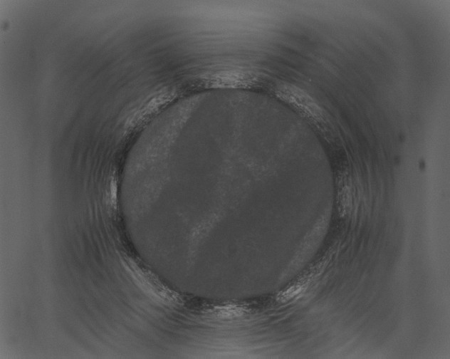 X0000062630310200601111107