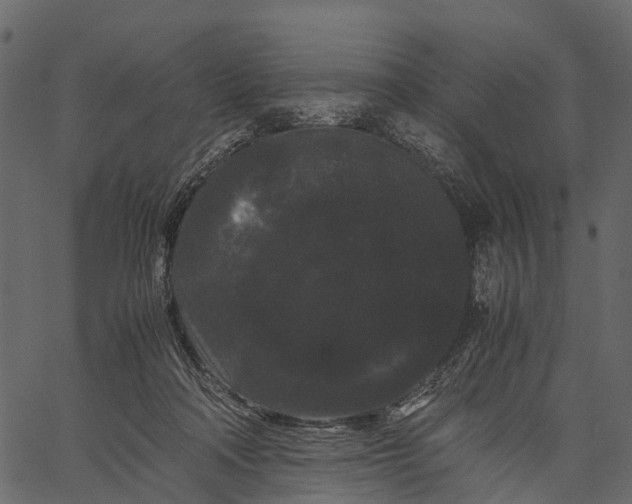 X0000062630314200601111107