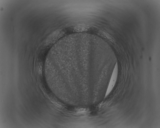 X0000062630315200601111107