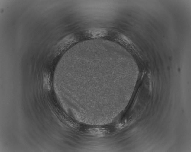 X0000062630316200601111107