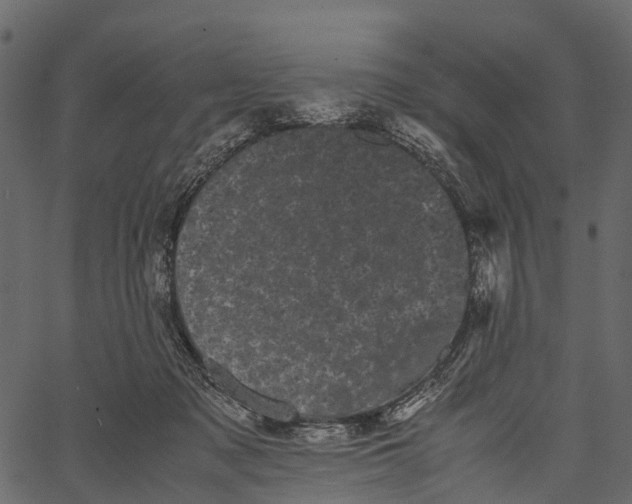 X0000062630317200601111106