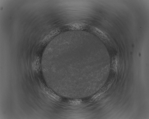 X0000062630318200601111106