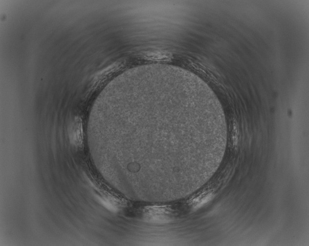 X0000062630320200601111106