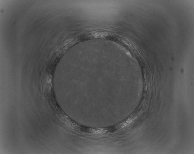 X0000062630321200601111106