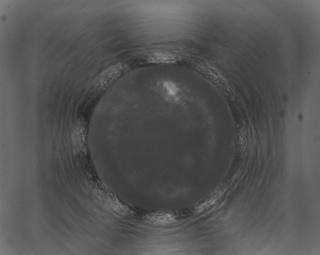 X0000062630322200601111106