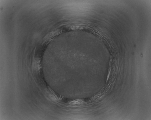 X0000062630323200601111106