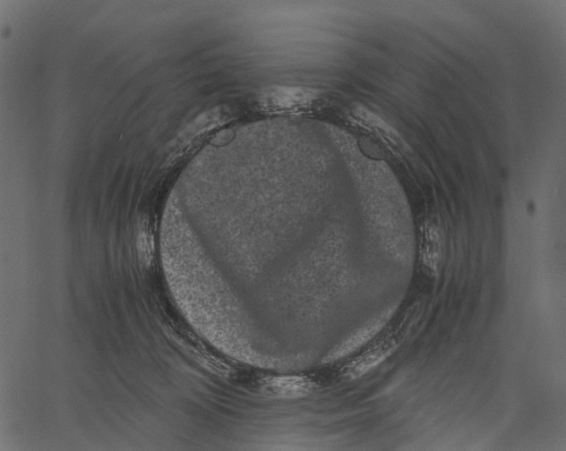 X0000062630324200601111106