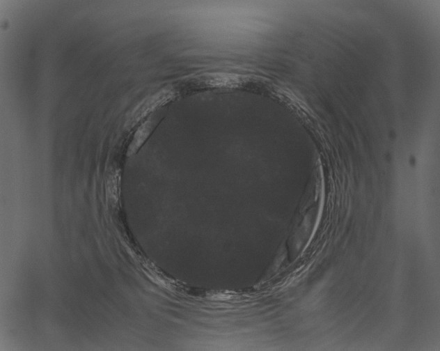 X0000062630325200601111106