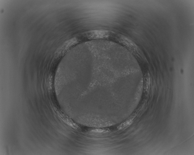 X0000062630326200601111106