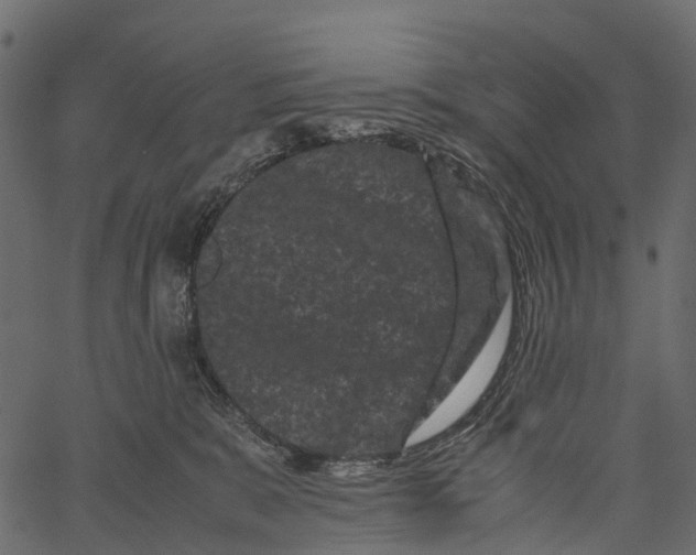 X0000062630327200601111106