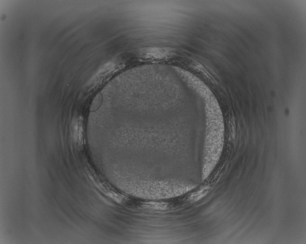 X0000062630328200601111106