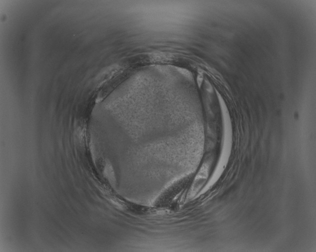 X0000062630329200601111106