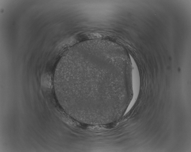 X0000062630331200601111106