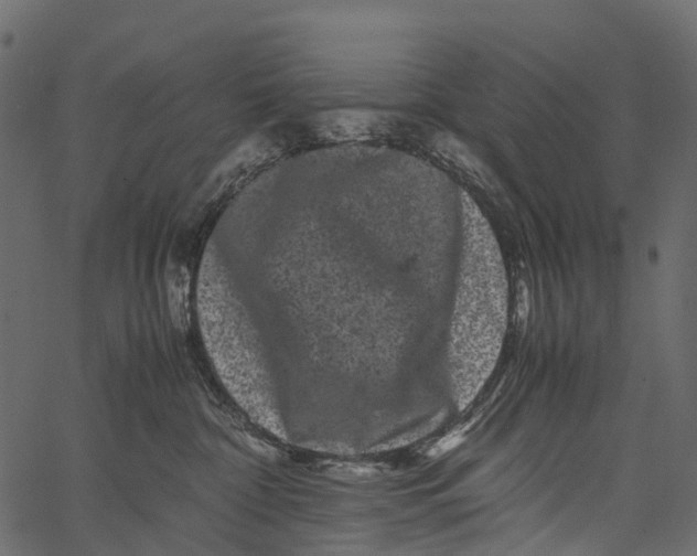 X0000062630332200601111106