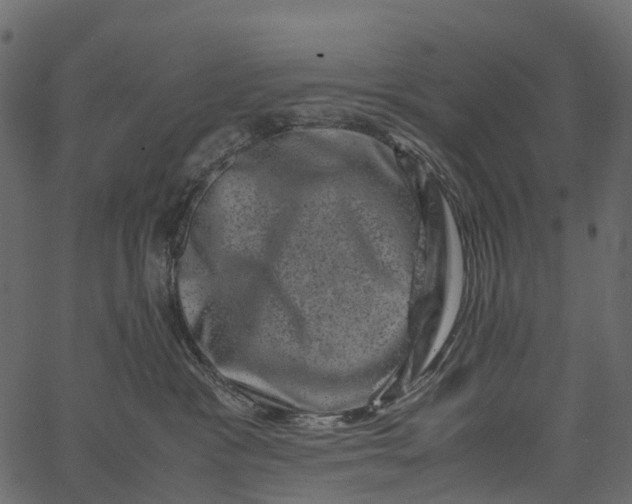 X0000062630333200601111106