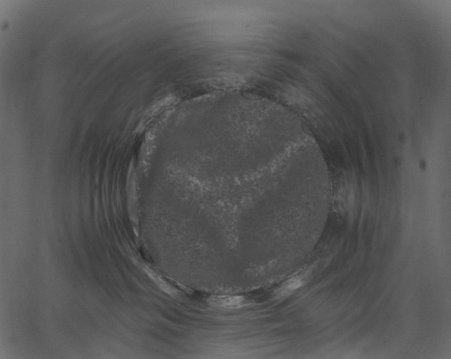 X0000062630334200601111106