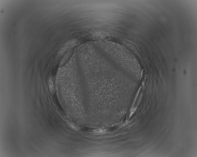 X0000062630335200601111106