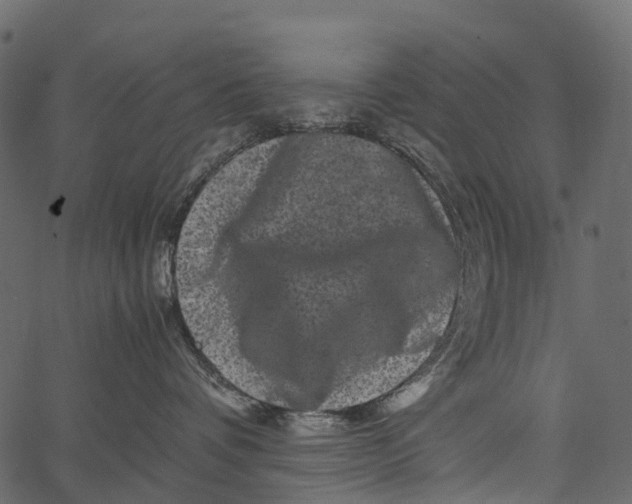 X0000062630336200601111106