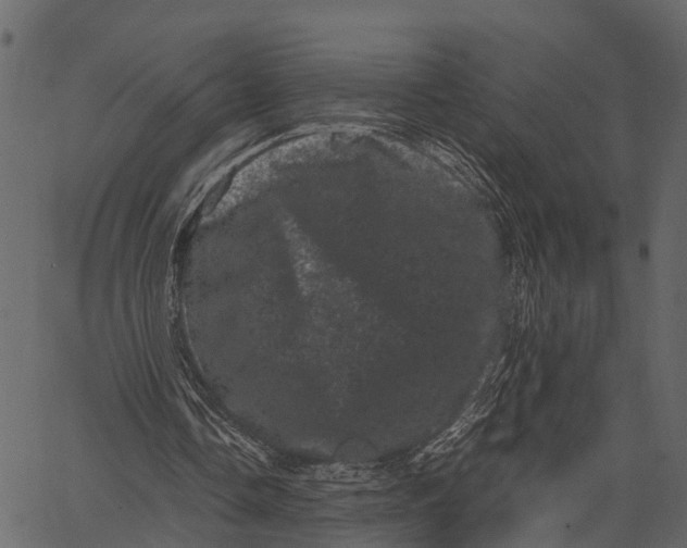 X0000062630338200601111105