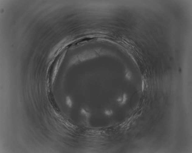 X0000062630339200601111105