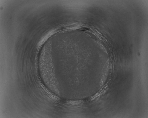 X0000062630341200601111105